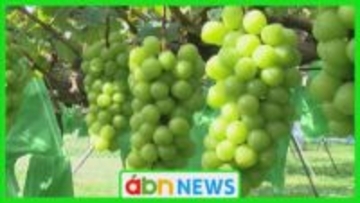 ふるさと納税返礼品で産地偽装　市が委託業者に2億5000万円超の損害賠償を請求し提訴【長野・須坂市】