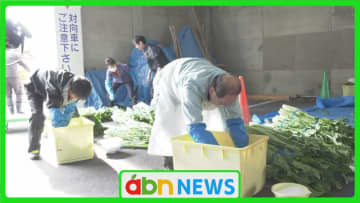 信州の郷土食・野沢菜漬け…宿泊施設で手作りの温かさ　女将が受け継ぐ初冬の恒例行事【長野・松本市】