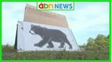 「クマ市街地出没に備え　長野市が初の緊急銃猟訓練　猟友会は実施の難しさを指摘【長野市】」の画像1