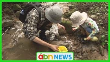 澄んだ清流で大人も子どもも夢中！ 親子30人がサワガニ探し　命のつながりと地域の自然を体感【長野・高森町】