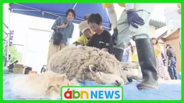 動物園で恒例のヒツジの毛刈り体験　ゴールデンウィーク恒例イベントに子どもたち大興奮【長野・須坂市】