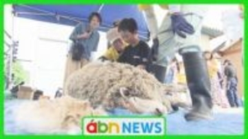 動物園で恒例のヒツジの毛刈り体験　ゴールデンウィーク恒例イベントに子どもたち大興奮【長野・須坂市】