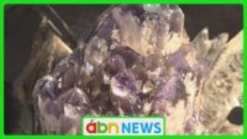 1000万円超の宝石も登場！長野市で国内外の天然石・化石・隕石が一堂に会する展示販売会【長野市】