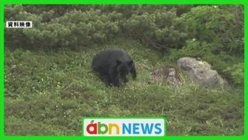 『ツキノワグマ』県の〝新たな〟保護管理計画策定に向け専門部会開催 人の生活圏での出没多く…現状の課題は?【長野】