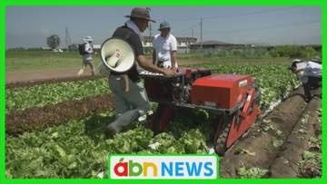 農家の負担軽減…人手不足解消なるか! 30年かけて開発の「レタス収穫機」を実演披露【長野・塩尻市】
