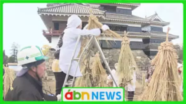 国宝・松本城の冬支度　ボタンの木を守る伝統の冬囲い作業「この冬を無事に乗り越えて」【長野・松本市】