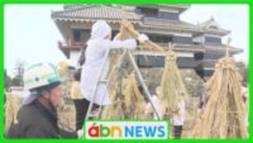 国宝・松本城の冬支度　ボタンの木を守る伝統の冬囲い作業「この冬を無事に乗り越えて」【長野・松本市】