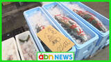 「漁獲量減少でブリ高騰も…正月の食卓を彩る新鮮食材を求めて卸売市場に早朝から買い物客殺到【長野・松本市】」の画像1