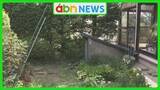 「クマが住宅敷地に潜む　麻酔銃で捕獲も相次ぐ出没に不安広がる【長野・原村】」の画像1