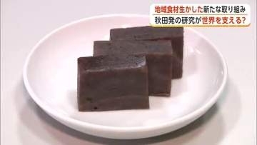 秋田発の研究が世界の食を支える！？地域食材を生かした新たな取り組み・研究成果を発表　秋田