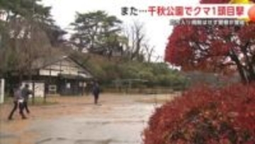3連休最終日　秋田市中心部・千秋公園に再びクマ　警察が注意を呼びかけ