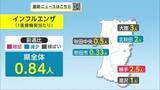 「インフルエンザ、流行のピーク過ぎる　感染性胃腸炎、前週比16％減少も依然高い水準　秋田」の画像1