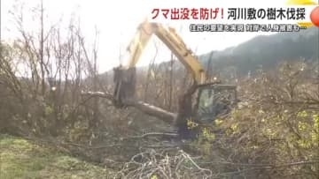 河川敷の樹木伐採でクマ出没を防げ！　対岸では人身被害も　住民の要望実現で不安軽減へ　秋田・能代市