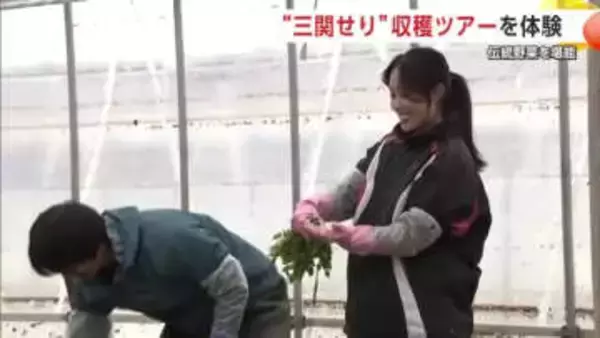 伝統野菜『三関せり』収穫体験ツアー、2月7日に開催へ　セリのせたピザと稲庭うどんも堪能　秋田・湯沢市