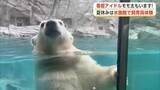 「モモ太を見た後は夏休みだけの特別体験！男鹿水族館GAOの裏側へ　生き物にタッチ、餌やりも　秋田」の画像1