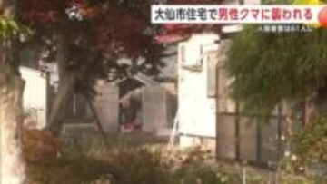 「クマが走って突っ込んできた」　大仙市の70代男性、恐怖の瞬間を語る　クマに襲われ太ももにけが　秋田