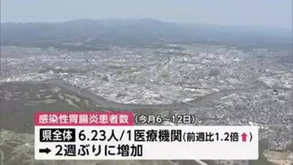 感染性胃腸炎、2週ぶりに増加　例年より高水準で推移　インフルエンザは3週連続減少　秋田