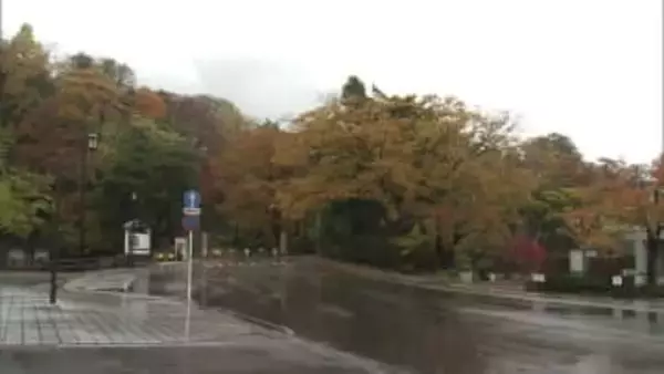 千秋公園でクマ2頭を捕獲　親子グマか　立ち入り規制から8日目　秋田