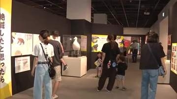 絶滅した動物の標本や化石など一堂に…「わけあって絶滅しました。展」開幕　秋田市