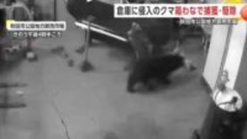 倉庫にとどまっていたクマ、箱わなで捕獲・駆除　侵入から捕獲まで約28時間　秋田市公設卸売市場