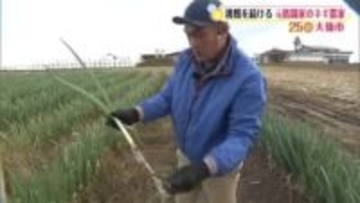 格闘家から農家へ！異例の転身　農薬不使用で甘くて柔らかいこだわりのネギを栽培　秋田・大仙市