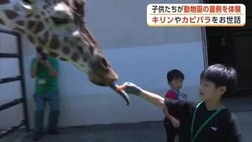 寝床の掃除や餌やりに奮闘　夏休み中の子供たちが動物園の裏側を体験　大森山動物園サマースクール　秋田市