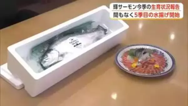 八峰町「輝サーモン」30日から水揚げ開始　生育率90％超、知事に報告　漁師の収入源として期待　秋田