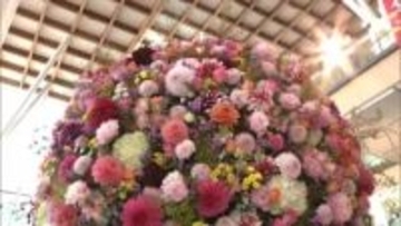 「秋田県花の祭典」開幕　生産者が丹精込めて育てた色とりどりの花がずらり　秋田市