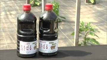 “におい”でクマを追い払え！秋田で使用多い忌避剤『熊をぼる』、製造現場は青森　“すみ分け”に活用を