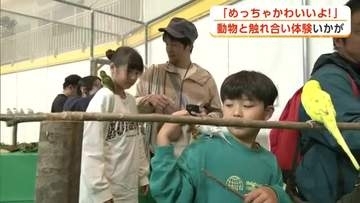 30種の動物がお出迎え「めっちゃかわいい動物ランド」　触れ合い楽しみ癒やしのひとときを　秋田・横手市