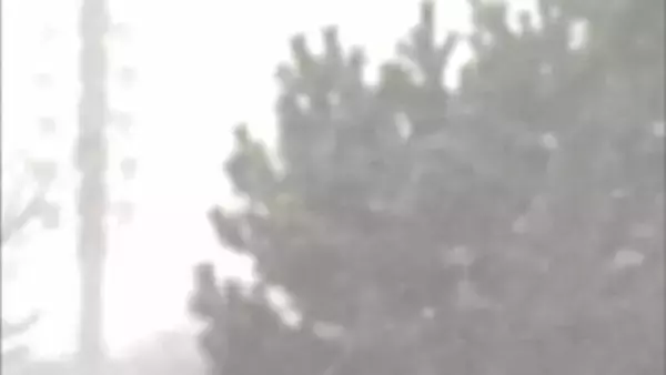 秋田県内は元日明け方にかけて大雪による交通障害や落雪などに警戒を　秋田