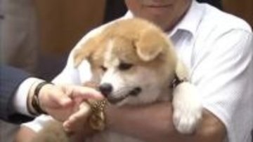プーチン大統領に県が贈った秋田犬「ゆめ」死ぬ　「もう少し生きてほしかった」関係者が思いはせる　秋田