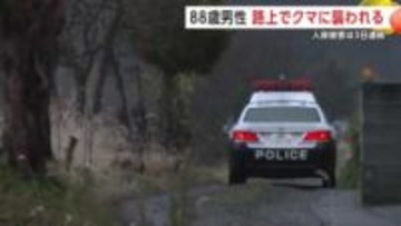鹿角市の男性（88）路上でクマに襲われる　頭などにけが　3日連続の人身被害　秋田