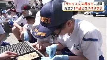 「おいしいコメができますように」　児童がサキホコレの種まきに挑戦　コメ作りを一から学ぶ　秋田・横手市
