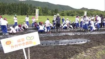 地元の特産品を知ろう！児童がエダマメの種植えに挑戦　秋にはオリジナル商品作り販売へ　秋田・大館市