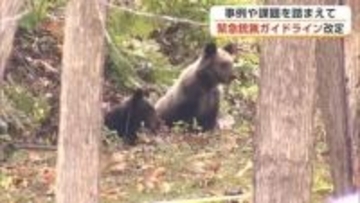 クマ「緊急銃猟」ガイドライン改定　秋田県などの実施事例を明記　避難誘導や人員配置など実施ポイント追加