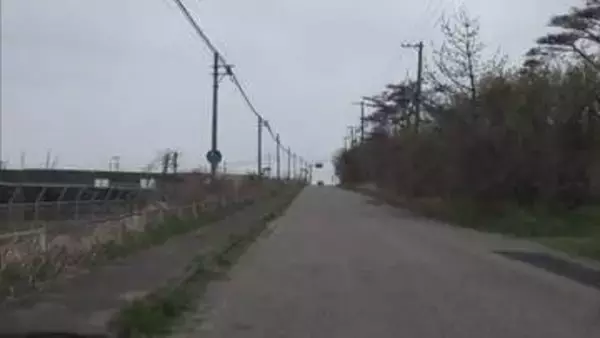 クマとパトカーが衝突　車体には毛が付着、ドアもへこむ　けが人なし　秋田・潟上市