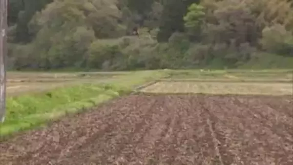 秋田県内で今年初のクマの人身被害　由利本荘市東由利で田んぼの見回り中の男性（48）襲われけが