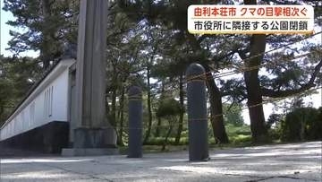 由利本荘市でクマの目撃相次ぐ　市役所隣接の本荘公園を閉鎖　近くの小学校でも急きょ保護者が迎えに　秋田