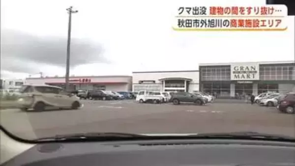 商業施設の駐車場にクマ、店は緊急アナウンスで警戒呼びかけ　にぎわう買い物エリアに出没　秋田市