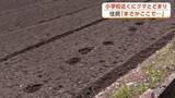 「小学校や保育施設近くでクマ目撃相次ぐ　猟友会が駆除　目撃の個体と同一か　秋田・横手市」の画像1