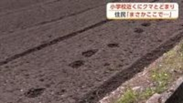 小学校や保育施設近くでクマ目撃相次ぐ　猟友会が駆除　目撃の個体と同一か　秋田・横手市