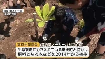 薬樹の森を目指して...地域住民などが生薬の原料“ホオノキ”の苗木を植樹　秋田・美郷町