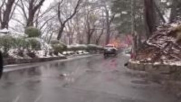 千秋公園近くで再びクマの目撃相次ぐ　近隣の高校は臨時休校に　警察がパトロールし注意呼びかけ　秋田市