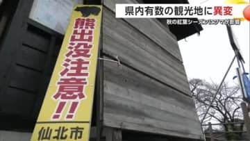 秋の観光地、クマ出没で日本人観光客が減少　現状を越年させないクマ対策望む観光関係者　秋田・仙北市