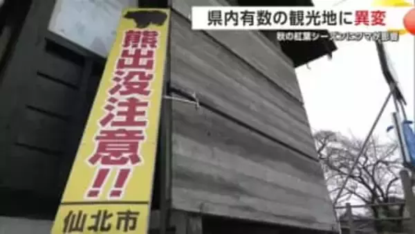 秋の観光地、クマ出没で日本人観光客が減少　現状を越年させないクマ対策望む観光関係者　秋田・仙北市
