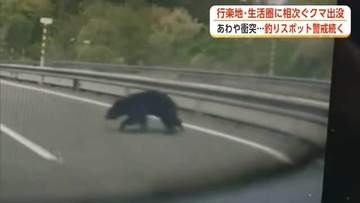 クマの目撃、後絶たず　高速道路走行中の車はあわや衝突　人気の釣りスポットは警戒態勢続く　秋田