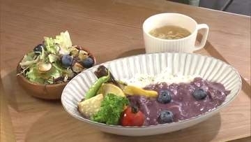 男鹿市ブルーベリー　収穫時期迎える　この時期限定！ブルーベリー色のカレーも味わって　秋田