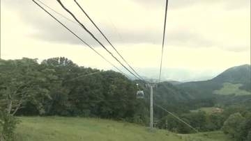 森吉山、夏のゴンドラ運行始まる　木々の緑に高山植物も　空中散歩や散策で自然を満喫　秋田・北秋田市