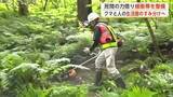 「クマと人、生活圏のすみ分けへ　民間の力借り緩衝帯を整備　国有林で伐採や下草の刈り払い　秋田・大仙市」の画像1